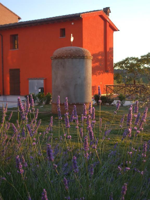 Agriturismo Borgo Stella Монтеспертоли Экстерьер фото